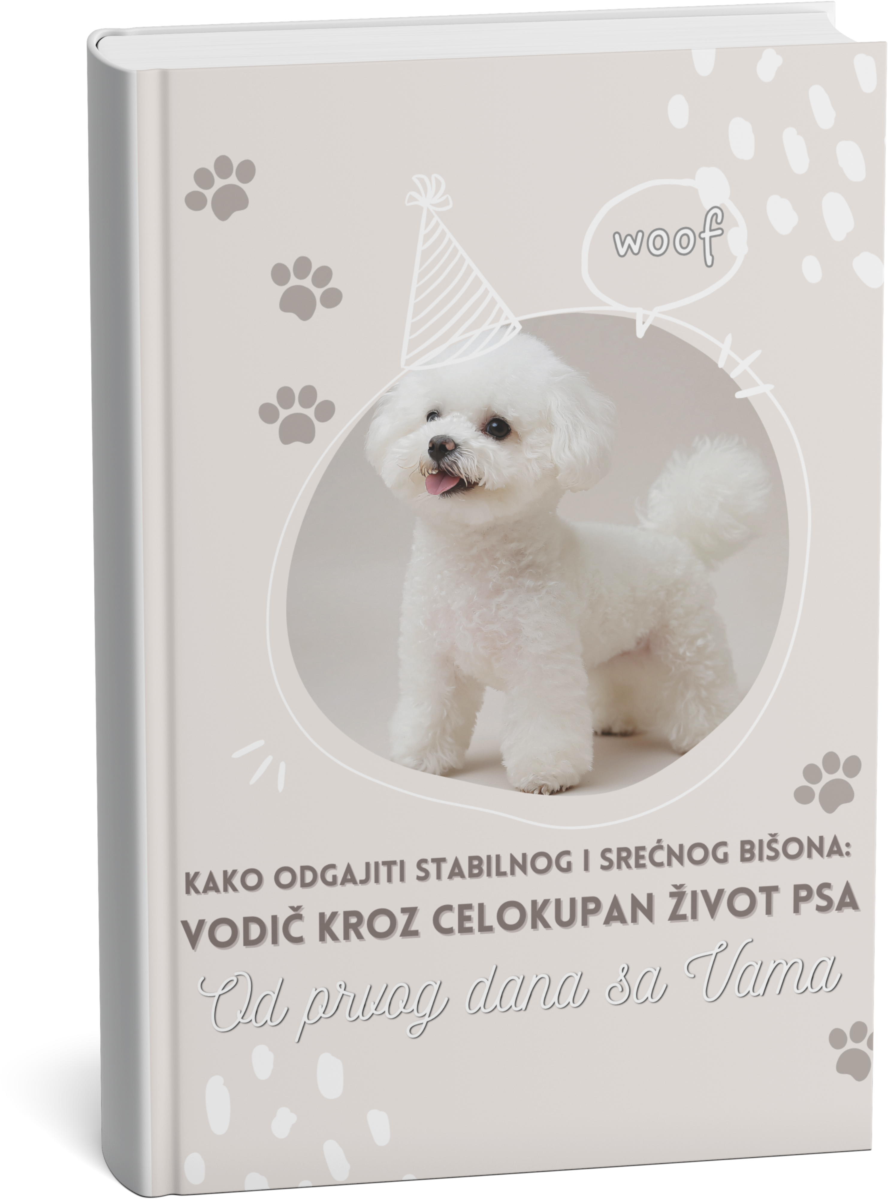 Kompletan vodič za Bišone